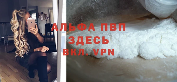 ПСИЛОЦИБИНОВЫЕ ГРИБЫ Няндома