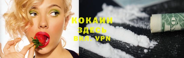 ПСИЛОЦИБИНОВЫЕ ГРИБЫ Няндома