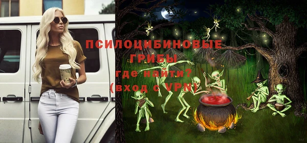 ПСИЛОЦИБИНОВЫЕ ГРИБЫ Няндома
