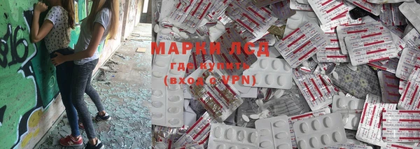 ПСИЛОЦИБИНОВЫЕ ГРИБЫ Няндома