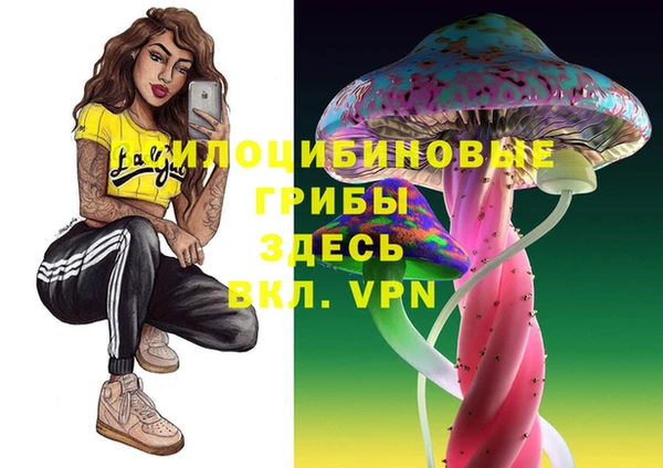 стафф Болотное