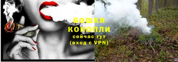 ПСИЛОЦИБИНОВЫЕ ГРИБЫ Няндома
