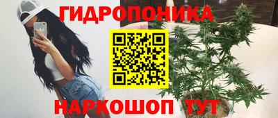 гашик Обь