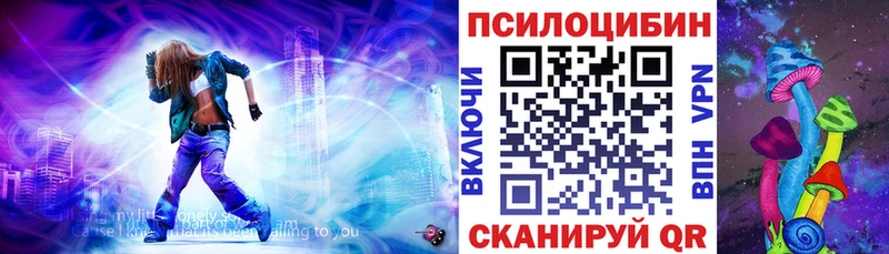 Псилоцибиновые грибы Psilocybe  MEGA ссылка  Шатура 