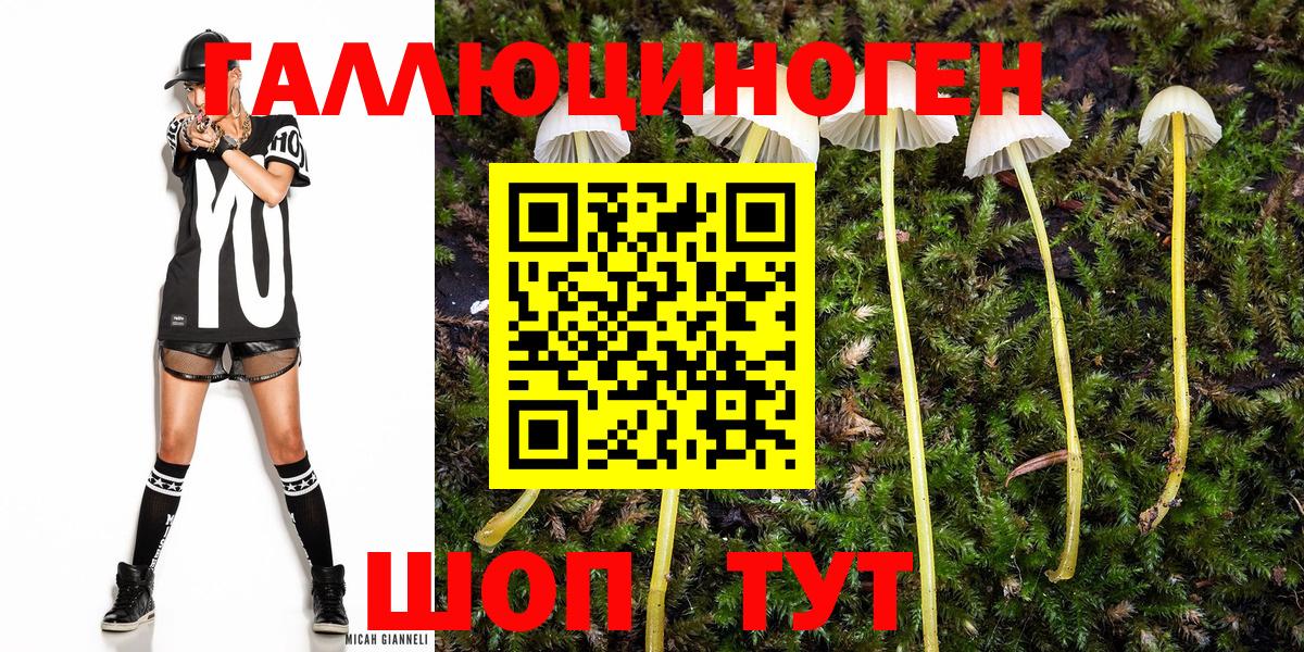 Шатура  Галлюциногенные грибы Cubensis  Вход с VPN  Галлюциногенные грибы MAGIC MUSHROOMS 