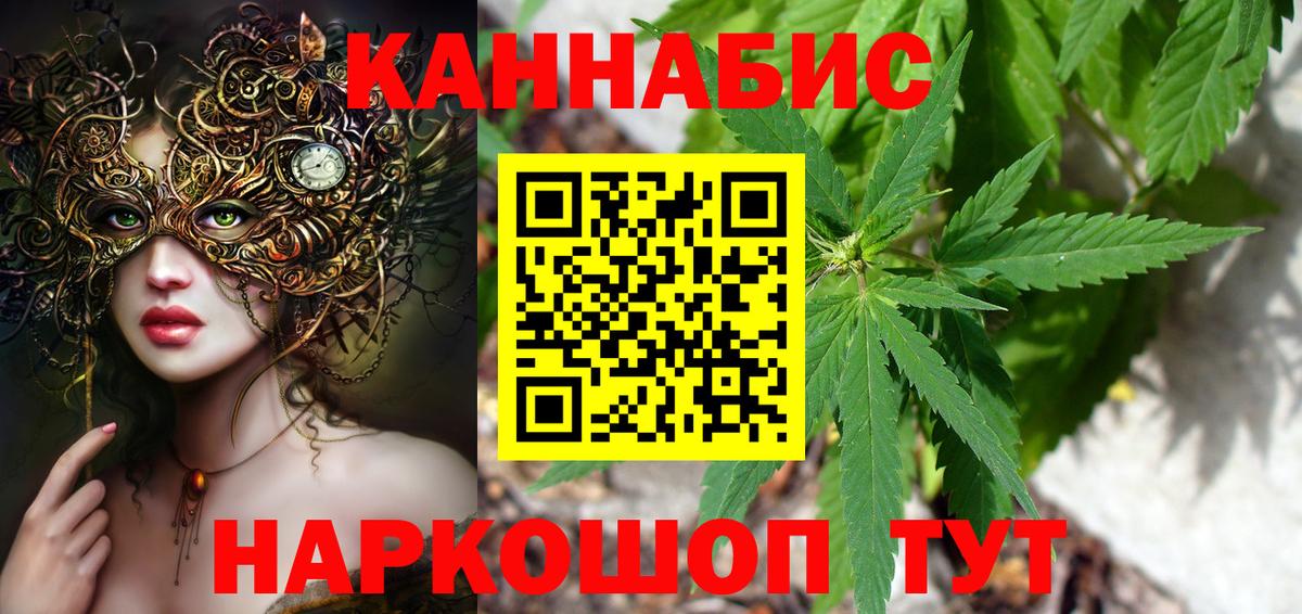 Конопля гибрид Шатура